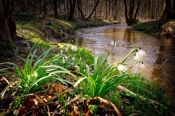 Osterwasser schöpfen - Ostern zu Hause