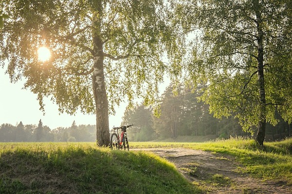 Nachhaltiges Reisen mit Fahrrad macht Spaß